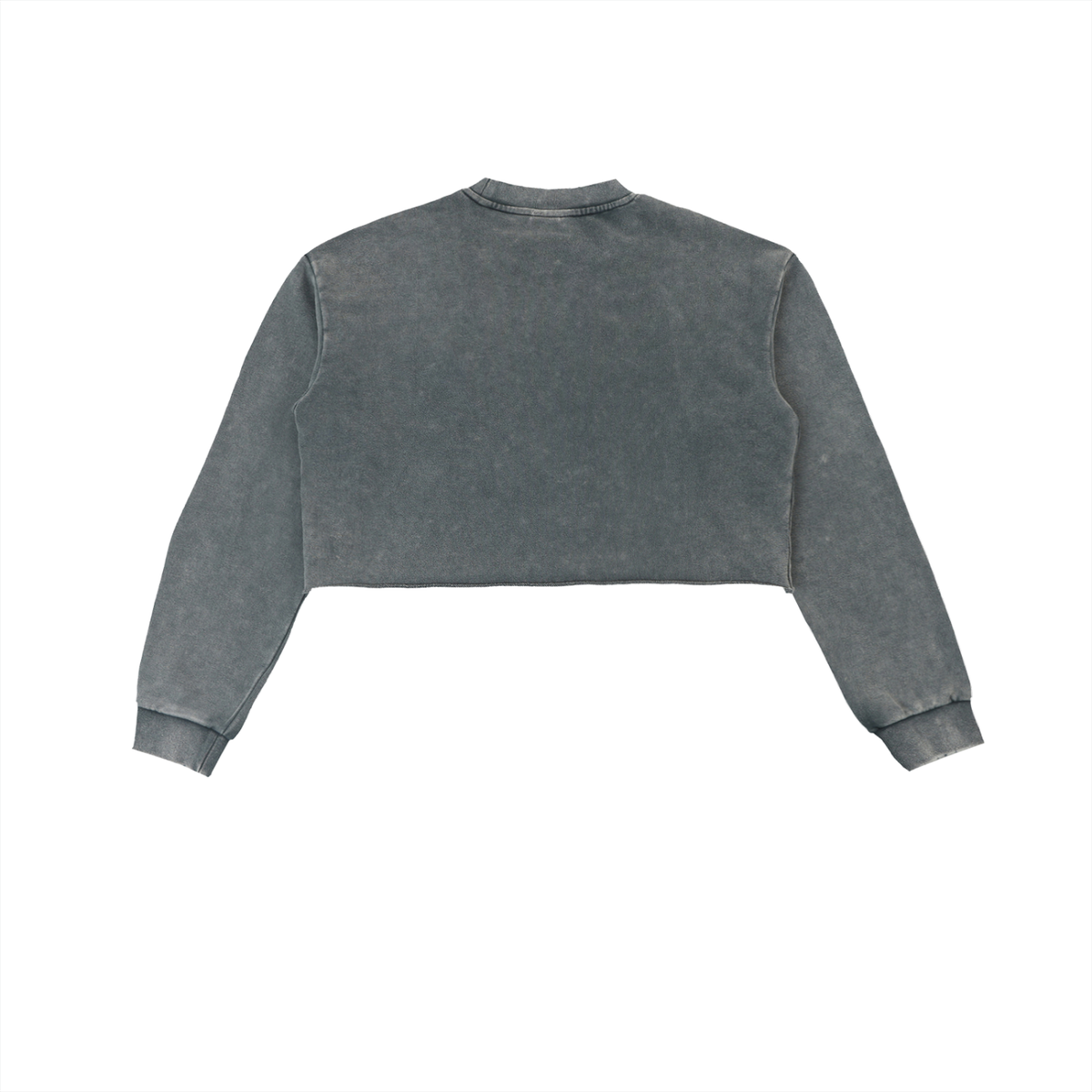 Ambitious Cropped Sweatshirt