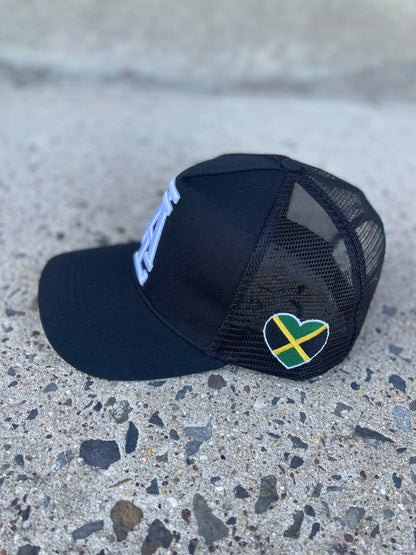 Ambitiouslion hat