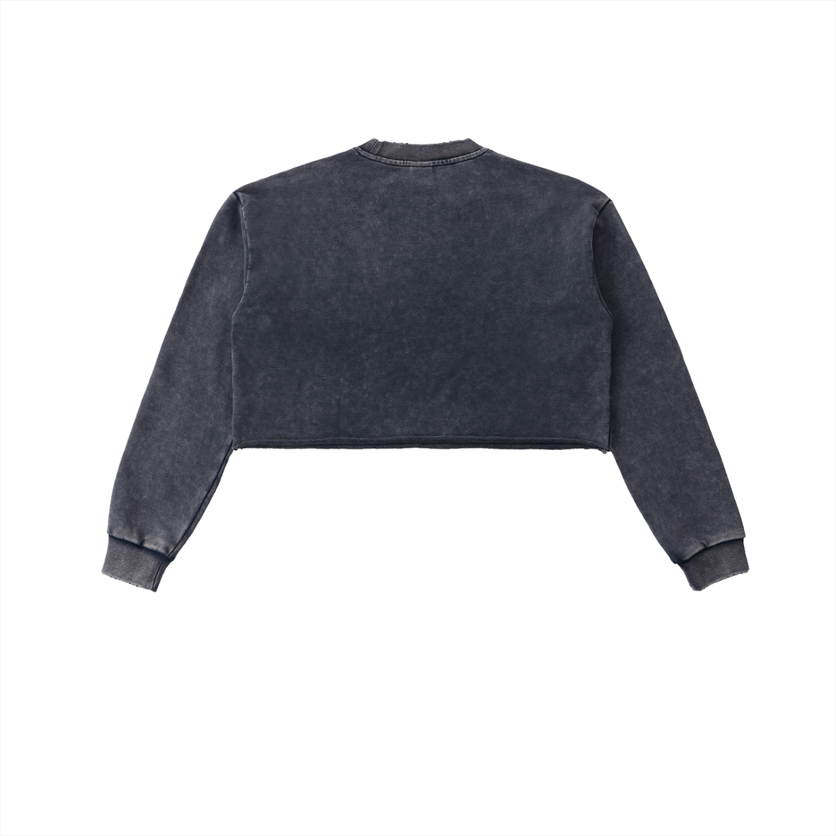 Ambitious Cropped Sweatshirt