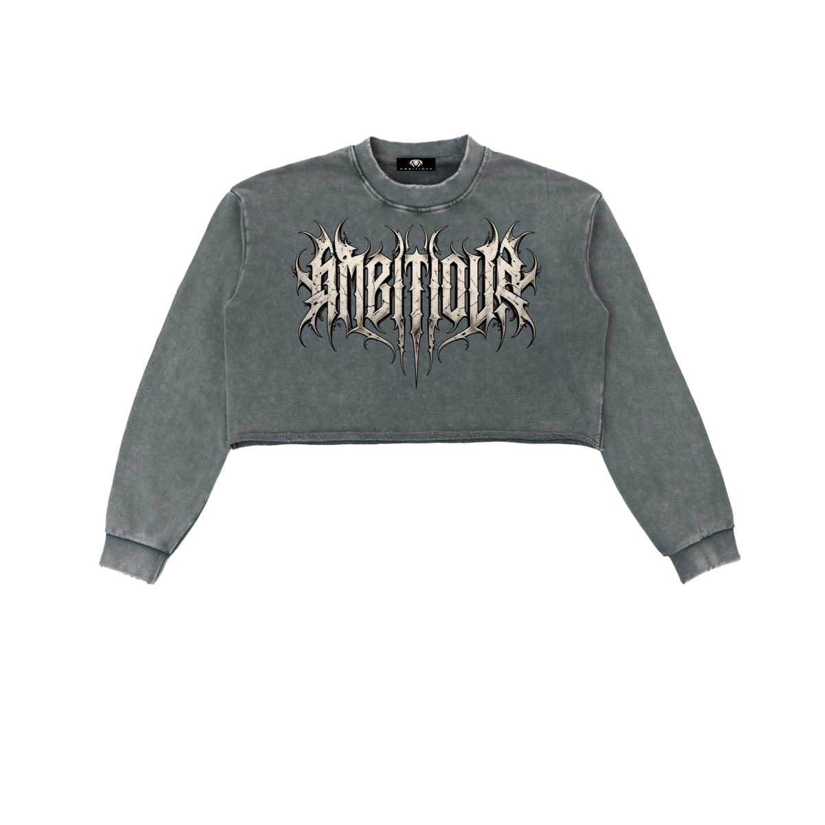 Ambitious Cropped Sweatshirt