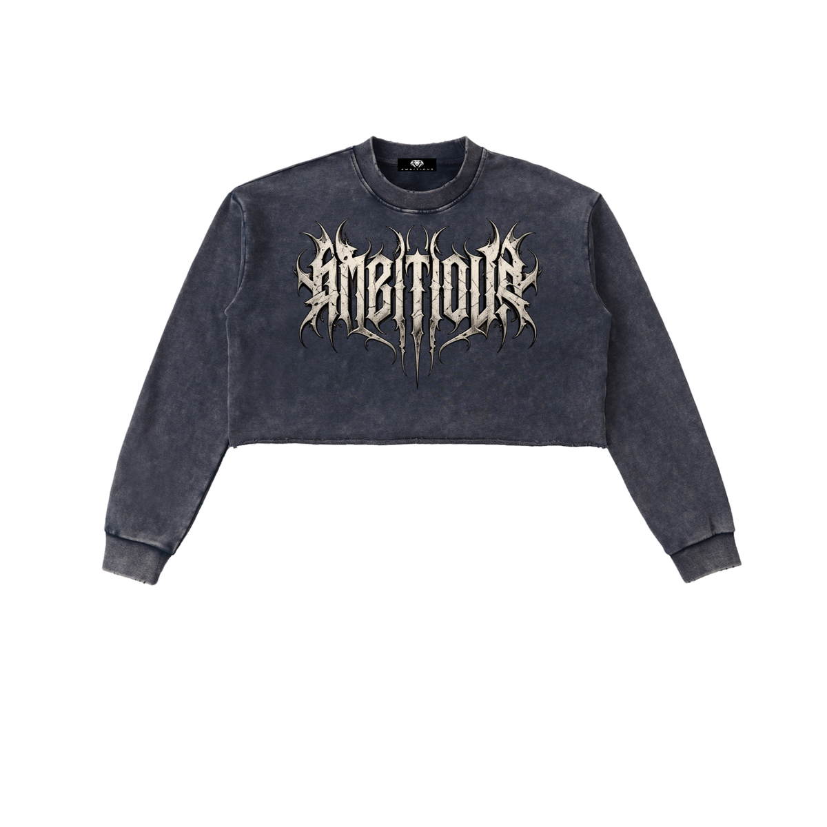 Ambitious Cropped Sweatshirt