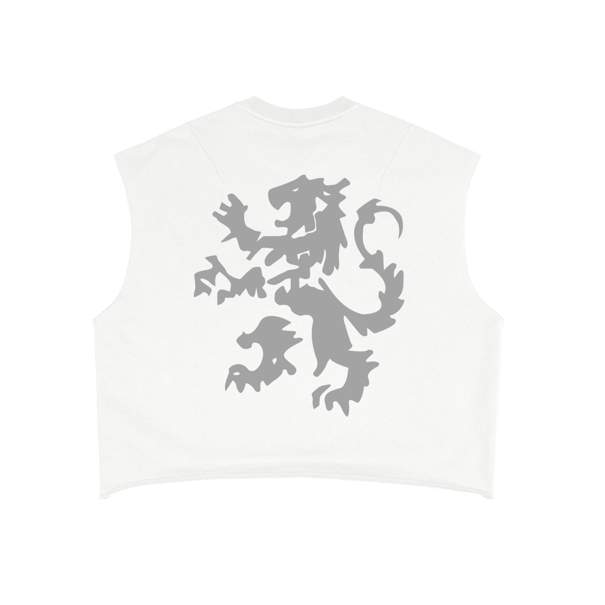 Ambitious Mindset Boxy Tank Top